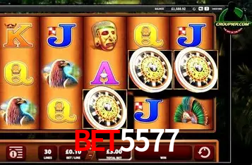 Apostas Esportivas na BET5577: Um Guia Completo